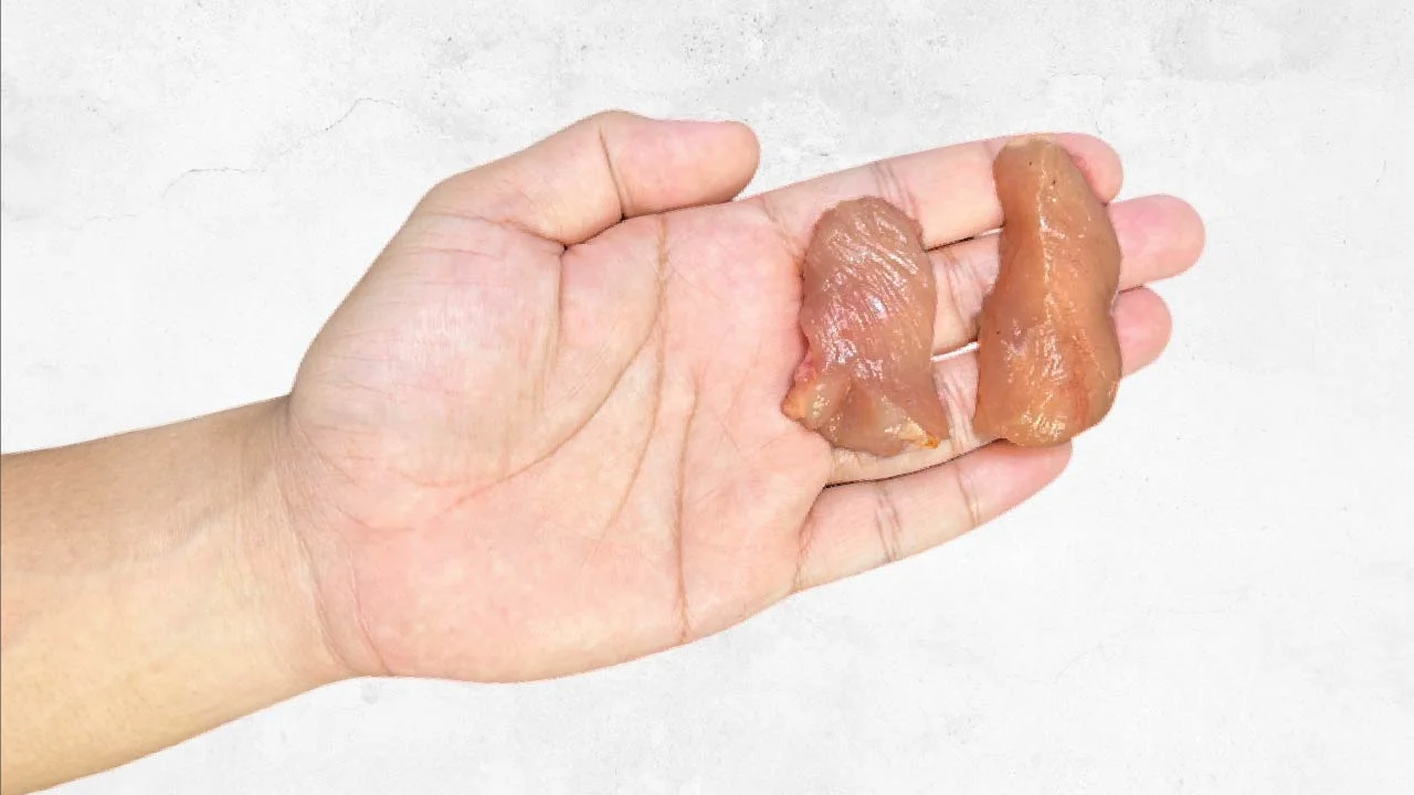 Size Ayam 100 Keping